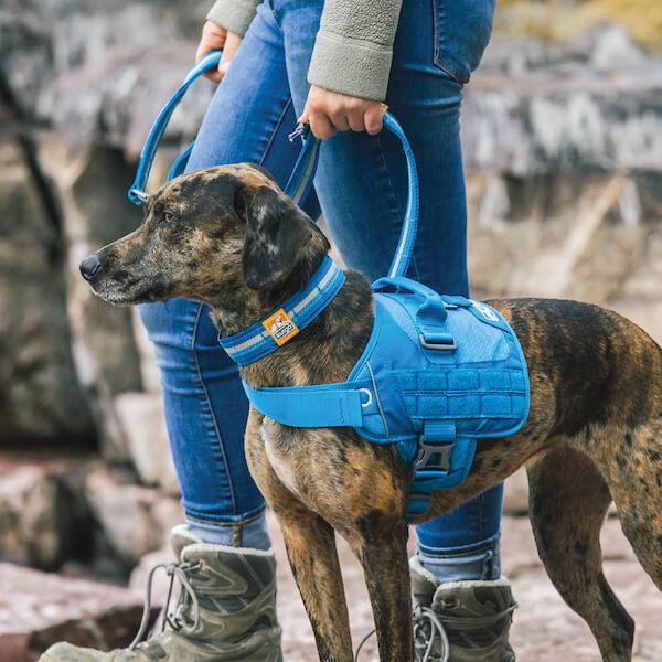 Kurgo RSG Collar Blau Gr. S